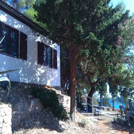 Tourist Resort Milna Βις Εξωτερικό φωτογραφία